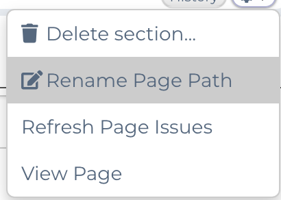 Image showing the dropdown to delete,rename, refresh issues, and a link to the front-end