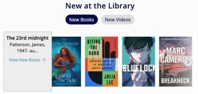 screenshot of a New at the Library section, displaying new books